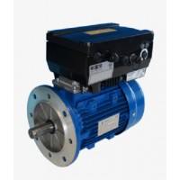 STM齒輪箱 軸安裝變速箱 PT 堅(jiān)固的PT系列