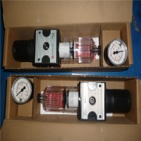 德國(guó)riegler閘閥 原裝正品CL 05 K