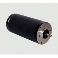 瑞典 Transmotec 微型電機(jī) DLA-12-20-A-100