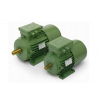 意大利oemer QLS100S 永磁同步電機(jī) 原裝進(jìn)口