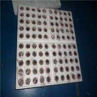 專(zhuān)業(yè)銷(xiāo)售Faulhaber微型電機(jī)系列2250...BX4S