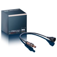 德國(guó)BERU溫度傳感器