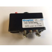 法國Diruptor Reference黃色系列斷路器 7521505 50BS53 歐洲直發(fā)