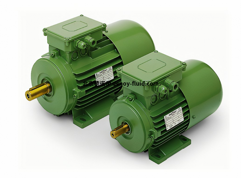 Oemer異步電機(jī)MTS 63