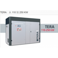 FINI微型 4.0 - 5.5壓縮機