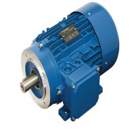 Carpanelli高效電機IE3 MRE63b4型