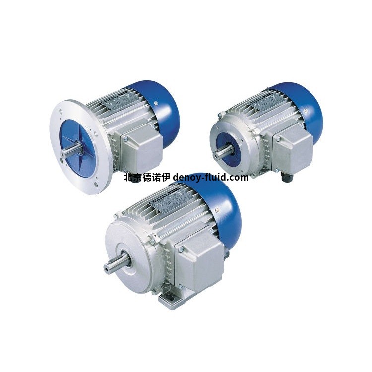 Carpanelli單相異步電機說明