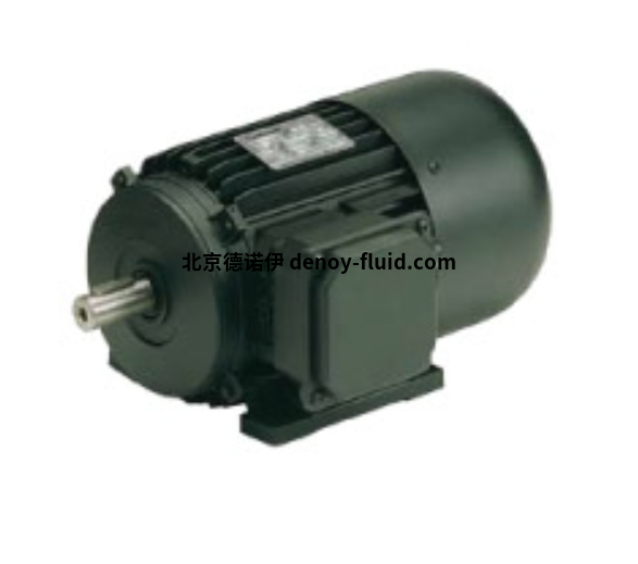 Carpanelli矢量電機MVS100型