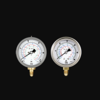 原廠供應(yīng)德國(guó)Kobold壓力表