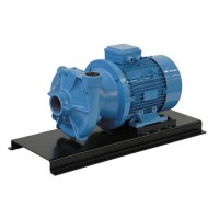 GMP PUMPS 離心泵 B11/2TRL 1,5 千瓦 意大利制造