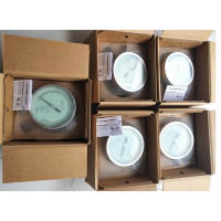 意大利NUOVA FIMA 彈簧管壓力表MGS8 DN250