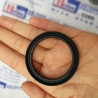 德國(guó)進(jìn)口Westring密封件VI0780-80