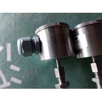 Dittmer氣體介質(zhì)用電阻溫度計(jì)PT 100用于溫度測(cè)量