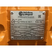 Italvibras G. Silingardi高頻振動電機(jī)MVSI 10/25000-國內(nèi)常用型號