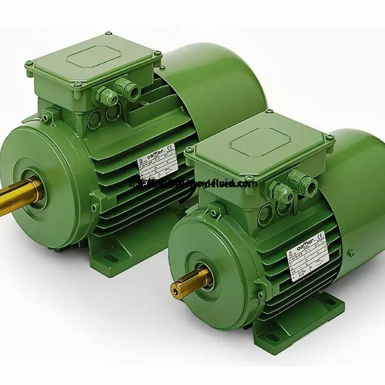 OEMER電機QCA 100 M/4用于食品和制藥業(yè)