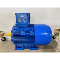 德國意大利進口電機CEMP AC 75r 225 S 4