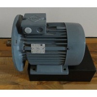 VEM制動(dòng)電機(jī)IE2-WE1R 112 MX2