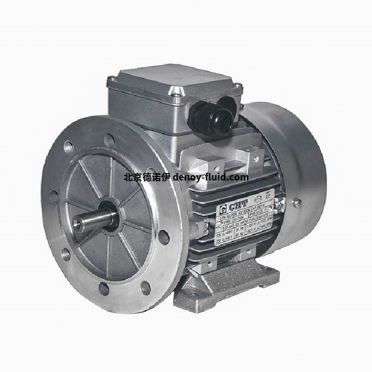 chiaravalli IE1鑄鐵電機(jī)CHT 315 LB 2