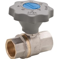 EFFEBI蝶閥A506型號(hào)通徑DN200