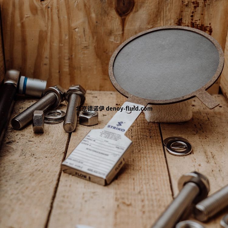 Striko耐腐蝕扁平石墨爆破片34003257