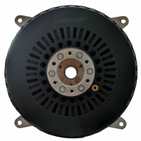 EMRAX軸向磁通電機(jī) 228系列 峰值扭矩：230 牛米