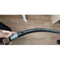 德國MENZEL 噴嘴 MS F D10 VS