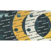 英國(guó)JAMES WALKER墊圈墊片CNAF型