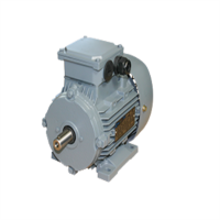 emwb  Elektromotorenwerk Brienz AG標(biāo)準(zhǔn)發(fā)動(dòng)機(jī)