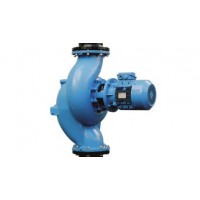 Johnson帶直列端口的緊耦合離心泵CombiLineBloc