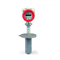 HEINRICHS流量計(jì)  BGN-S50-321BS000-0-S52-0-H