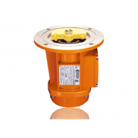 意大利Italvibras 生產(chǎn)各種型號(hào)振動(dòng)器，廣泛應(yīng)用于多種行業(yè)