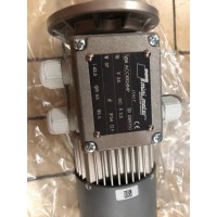 意大利Mini Motor蝸輪蝸桿減速電機 MC 320P2T 70 B5