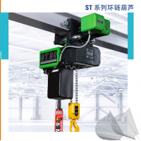 德國STAHL ST 環(huán)鏈葫蘆，起重量從125 kg 到 6,300 kg
