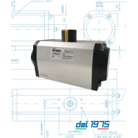 Evian 旋轉(zhuǎn)氣動(dòng)執(zhí)行器，AISI 316氣動(dòng)執(zhí)行機(jī)構(gòu)