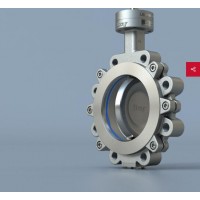 bray 4-Cx雙偏心雙偏置蝶閥采用可調(diào)節(jié)動負載閥桿密封