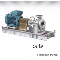Johnson Pump 重型流程泵，適合化工、煉油廠和一般工業(yè)應用