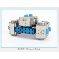 elaflex 100系列充氣點壓力分配器壓縮天然氣加氣機歧管