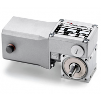 Mini Motor 蝸輪蝸桿直流減速電機BC2000-24MP，永磁直流電，全封閉