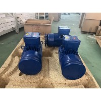 CEMP防爆電機(jī)E3 A B 2 5 132 S 46 B5 3F 400/50用于化工行業(yè)
