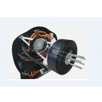 EMRAX 208 一款緊湊型軸向磁通永磁同步電動機