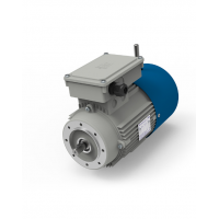 意大利M.T.Motor自動剎車發(fā)動機(jī)DF系列