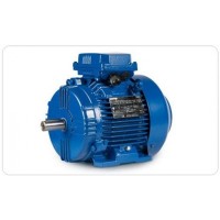 德國CEMP鑄鐵外殼防爆電機