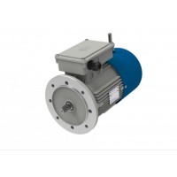 M.T. Motori MN 系列單相電動(dòng)機(jī)提供 B3、B5 和 B14 法蘭