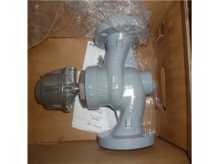 Gemu閥門(mén)膜片600 25M5M適用于易燃易爆環(huán)境