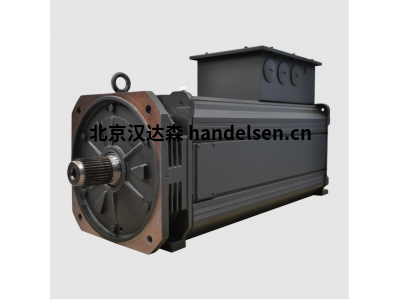 Oemer QLS-100X 原裝進口永磁同步電機多配置可選